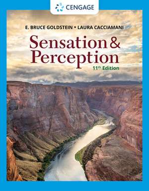 Sensation and Perception de E. Goldstein