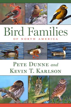 Bird Families Of North America de Pete Dunne