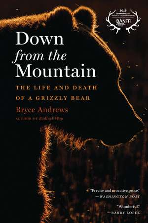 Down From The Mountain: The Life and Death of a Grizzly Bear de Bryce Andrews