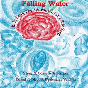 Falling Water Rain Falls The Journey of A Little Seed de Shona N. Conyers-Balderrama