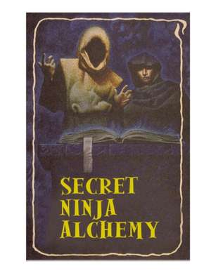 Secret Ninja Alchemy de Ashida Kim