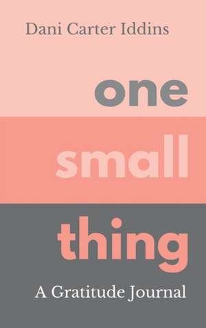 One Small Thing de Dani Carter Iddins