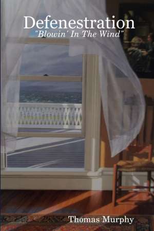 DEFENESTRATION de Thomas Murphy