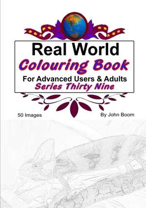 Real World Colouring Books Series 39 de John Boom