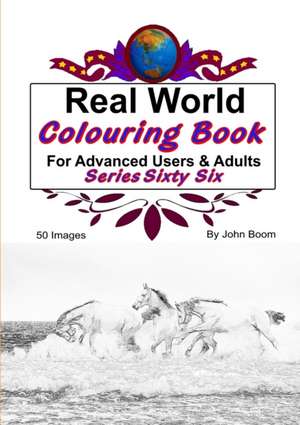 Real World Colouring Books Series 66 de John Boom