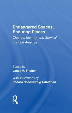 Endangered Spaces, Enduring Places: Change, Identity, And Survival In Rural America de Janet M. Fitchen