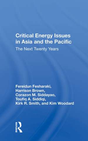 Critical Energy Issues In Asia And The Pacific: The Next Twenty Years de Toufiq A. Siddiqi