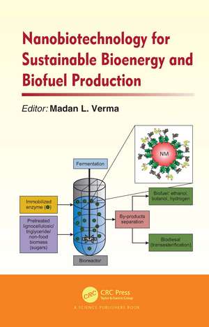 Nanobiotechnology for Sustainable Bioenergy and Biofuel Production de Madan L. Verma