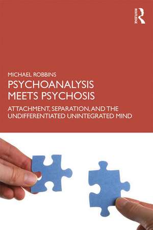 Psychoanalysis Meets Psychosis: Attachment, Separation, and the Undifferentiated Unintegrated Mind de Michael Robbins