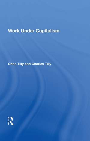 Work Under Capitalism de Chris Tilly