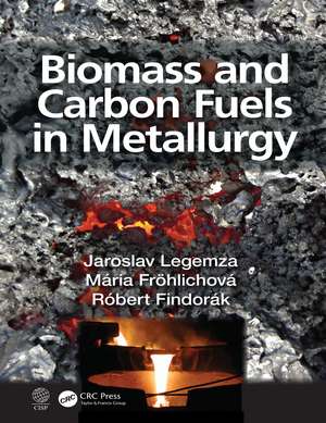 Biomass and Carbon Fuels in Metallurgy de Jaroslav Legemza