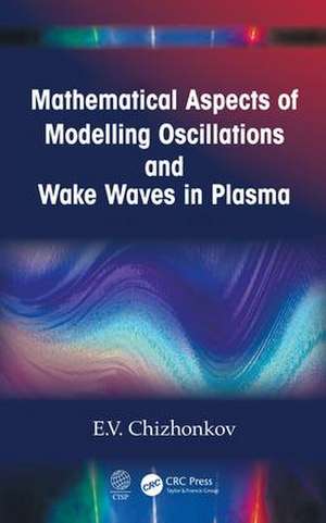 Mathematical Aspects of Modelling Oscillations and Wake Waves in Plasma de E.V. Chizhonkov