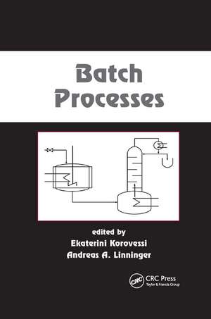 Batch Processes de Ekaterini Korovessi