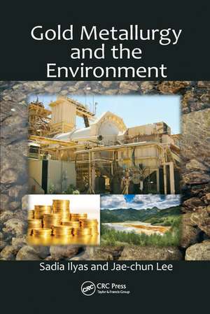 Gold Metallurgy and the Environment de Sadia Ilyas