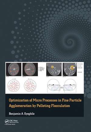 Optimization of Micro Processes in Fine Particle Agglomeration by Pelleting Flocculation de Benjamin Oyegbile