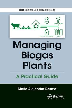 Managing Biogas Plants: A Practical Guide de Mario Alejandro Rosato