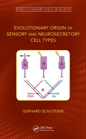 Evolutionary Origin of Sensory and Neurosecretory Cell Types: Vertebrate Cranial Placodes, volume 2 de Gerhard Schlosser