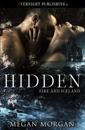 Hidden de Megan Morgan