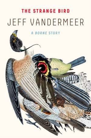 The Strange Bird de Jeff VanderMeer