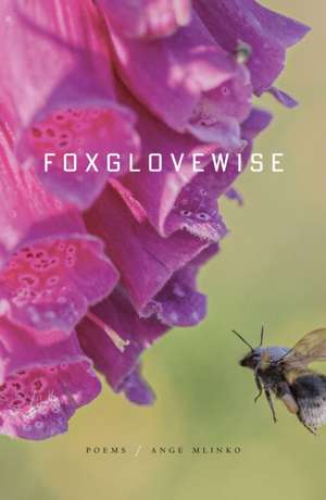Foxglovewise de Ange Mlinko