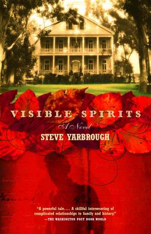 Visible Spirits de Steve Yarbrough