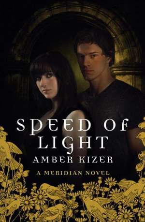 Speed of Light de Amber Kizer