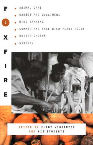 Foxfire 3 de Foxfire Fund Inc