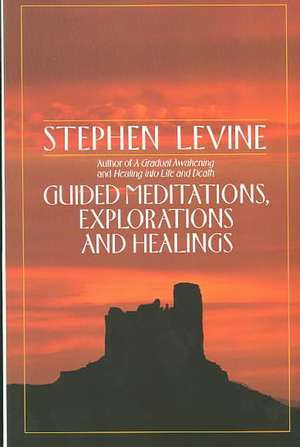 Guided Meditations, Explorations and Healings de Stephen Levine