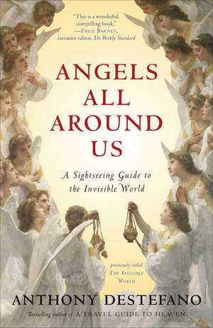 Angels All Around Us: A Sightseeing Guide to the Invisible World de Anthony DeStefano