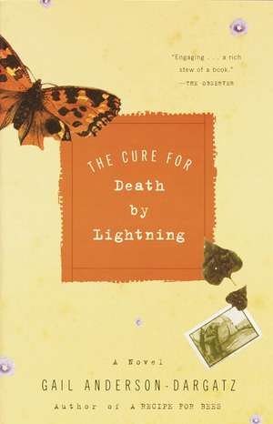 The Cure for Death by Lightning de Gail Anderson-Dargatz