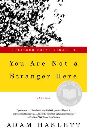 You Are Not a Stranger Here de Adam Haslett