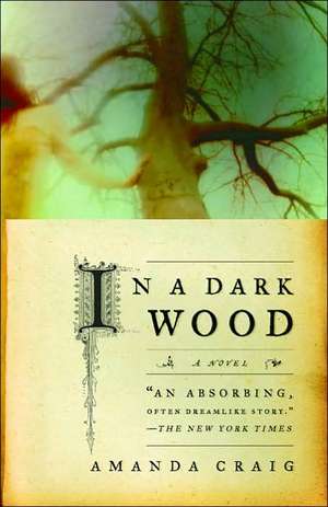 In a Dark Wood de Amanda Craig