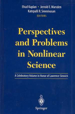 Perspectives and Problems in Nonlinear Science: A Celebratory Volume in Honor of Lawrence Sirovich de Ehud Kaplan