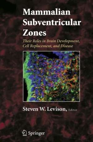 Mammalian Subventricular Zones: Their Roles in Brain Development, Cell Replacement, and Disease de Steve Levison