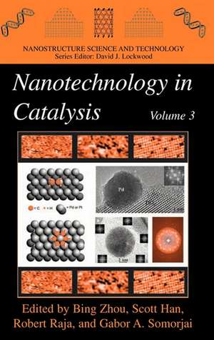 Nanotechnology in Catalysis 3 de Bing Zhou