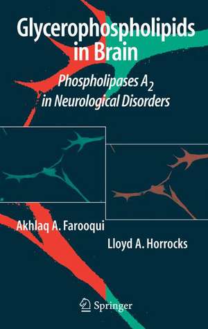 Glycerophospholipids in the Brain: Phospholipases A2 in Neurological Disorders de Akhlaq A. Farooqui