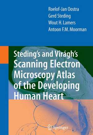 Steding's and Virágh's Scanning Electron Microscopy Atlas of the Developing Human Heart de R.J. Oostra