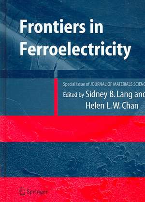 Frontiers of Ferroelectricity: A Special Issue of the Journal of Materials Science de Sidney B. Lang