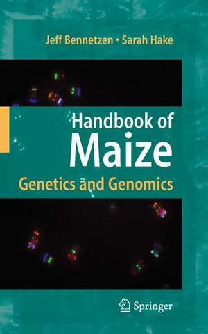 Handbook of Maize: Genetics and Genomics de Jeff L. Bennetzen