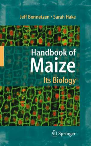 Handbook of Maize: Its Biology de Jeff L. Bennetzen