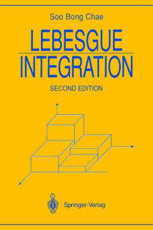 Lebesgue Integration de Soo B. Chae