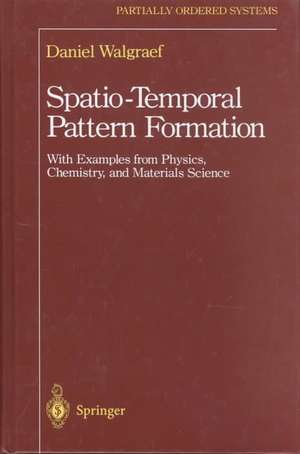 Spatio-Temporal Pattern Formation: With Examples from Physics, Chemistry, and Materials Science de Daniel Walgraef