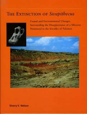 The Extinction of <i>Sivapithecus</i>: Faunal and Environmental Change Surrounding the Disappearance of a Miocene Hominoid in the Siwaliks of Pakistan de Sherry Nelson