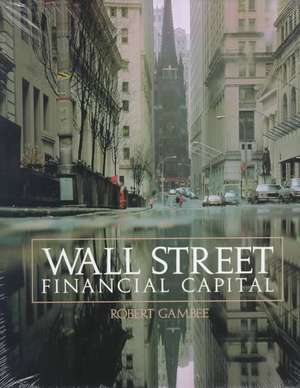 Wall Street Financial Capital de Robert Gambee