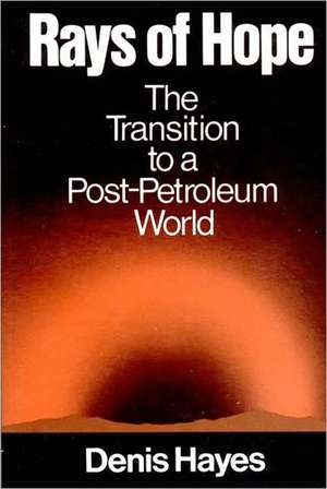 Rays of Hope – The Transition to a Post–Petroleum World de D. Hayes