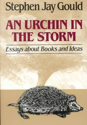 An Urchin in the Storm de Sj Gould