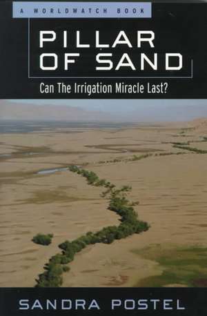 Pillar of Sand – Can the Irrigation Miracle Last? de Sandra Postel