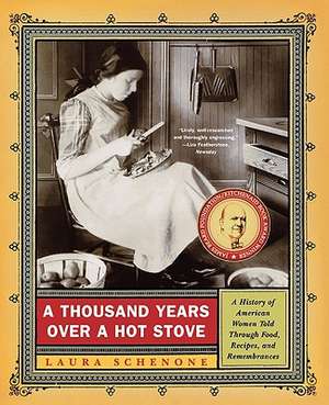 A Thousand Years Over a Hot Stove – A History of American Women Told through Food, Recipes and Remembrances de Laura Schenone