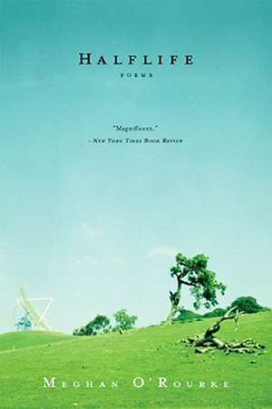 Halflife de Meghan O'Rourke