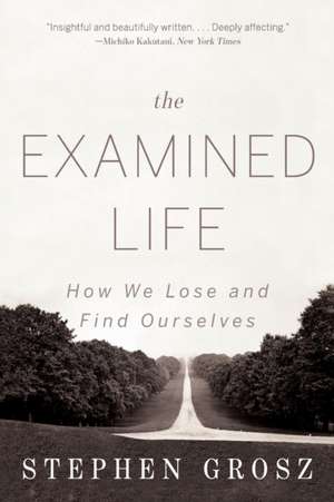 The Examined Life – How We Lose and Find Ourselves de Stephen Grosz